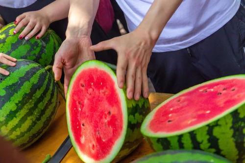 学校吃瓜视频,揭秘学校吃瓜视频背后的故事  第3张