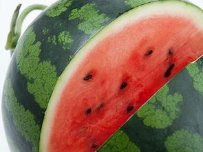 莘县在哪吃瓜,莘县特色瓜果美食之旅 第2张 莘县在哪吃瓜,莘县特色瓜果美食之旅 第2张